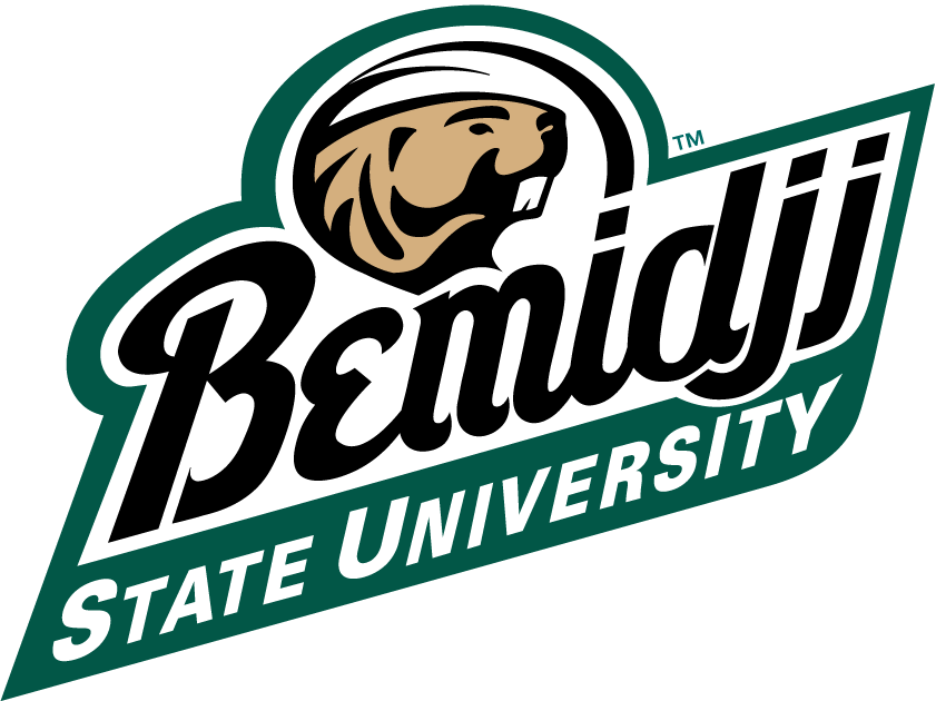 Bemidji State Beavers 2004-Pres Alternate Logo vinyl decal